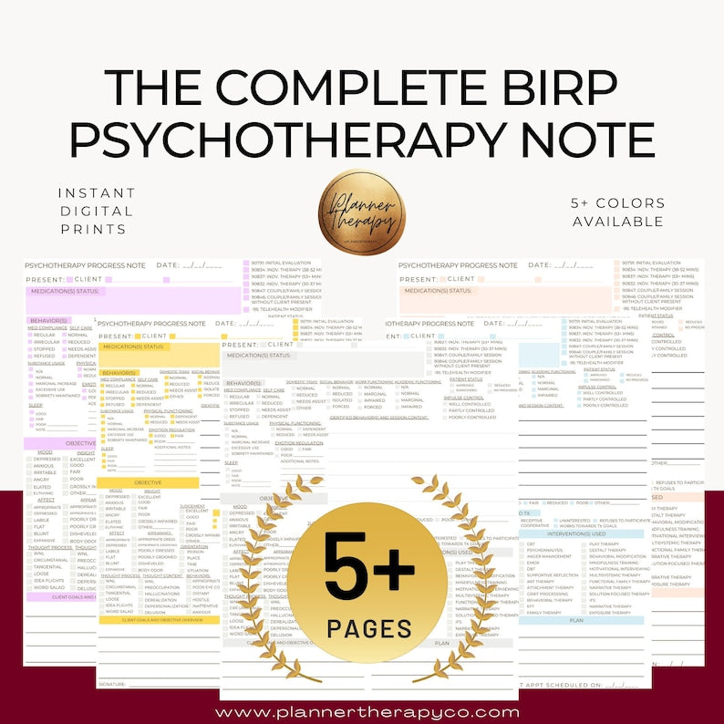 BIRP Psychotherapy Progress Note Template with MSE_BrainAcademy.store