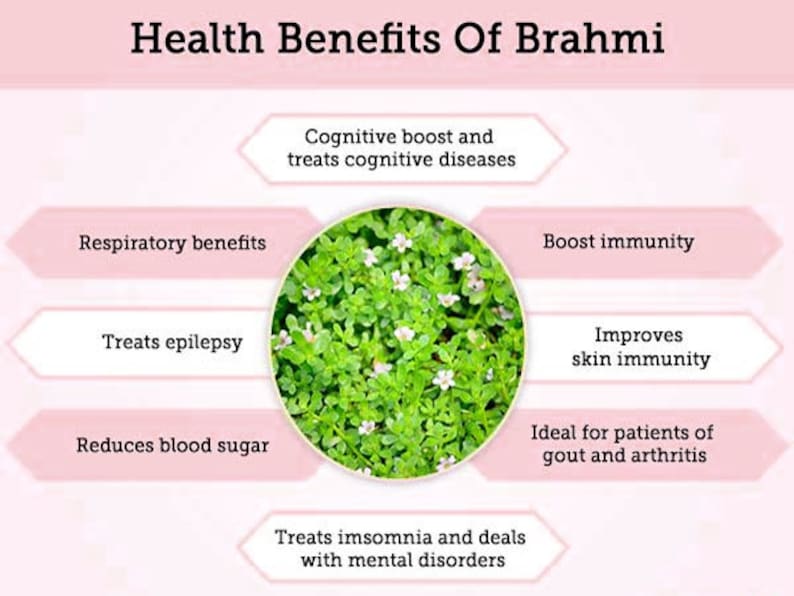 Organic Brahmi Powder: Strength for Hair, Mind, and Body_BrainAcademy.store