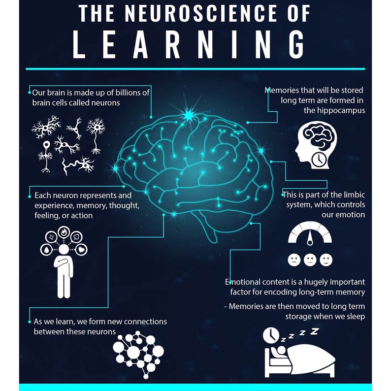 Memory Enhancement Guide: Sharpen Your Mind & Boost Memory_BrainAcademy.store