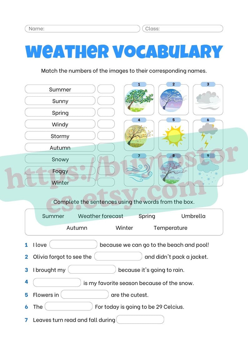 Vivid Vocabulary Builder: White Edition_BrainAcademy.store